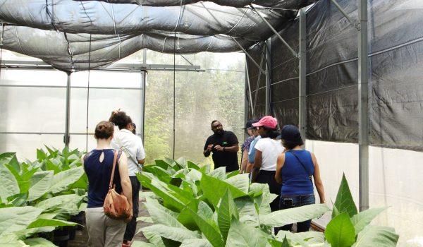 ALaBiofabrique-Saint-Pierre-14112025