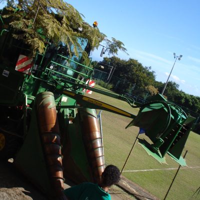 DSC04651
