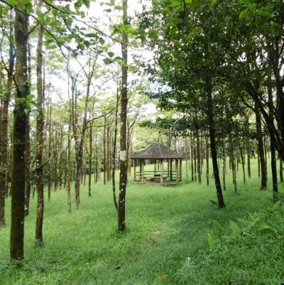 FSE_Encadrement_chantiers_insertion_ONF_v1